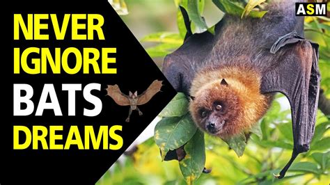 The Intriguing Connection between Bats and the Interpretation of Dreams