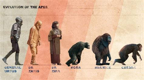 The Intriguing Evolution of Colossal Ape Characters in Popular Culture