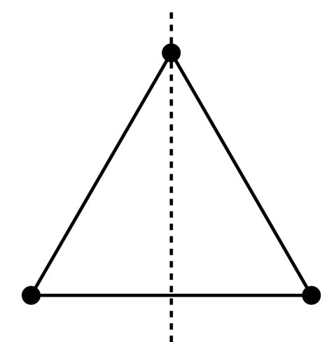 The Intriguing Fascination with Dividing a Person into Two Equal Parts: An In-Depth Examination