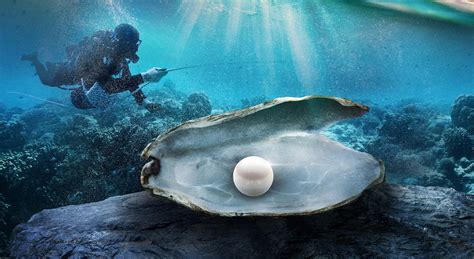 The Intriguing Origins and Uncovering of the Enormous Pearl-Bearing Creature