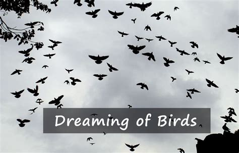 The Intriguing Relationship between Birds and the Interpretation of Dreams