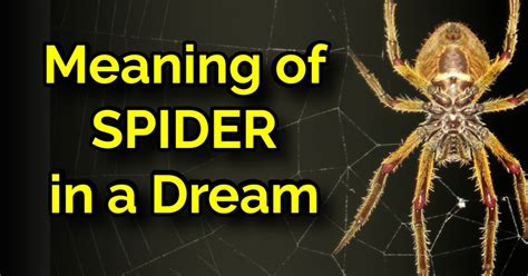 The Intriguing Symbolism Behind Dark Arachnids in Dreams