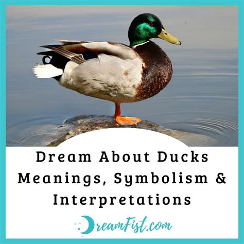 The Intriguing Symbolism of Ducks in Dreams