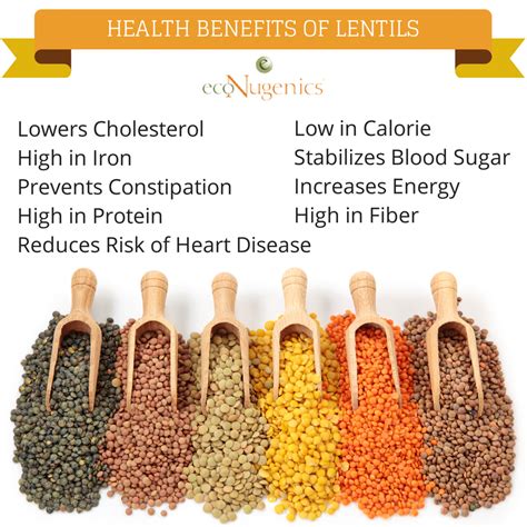 The Key Health Benefits of Nourishing Lentils
