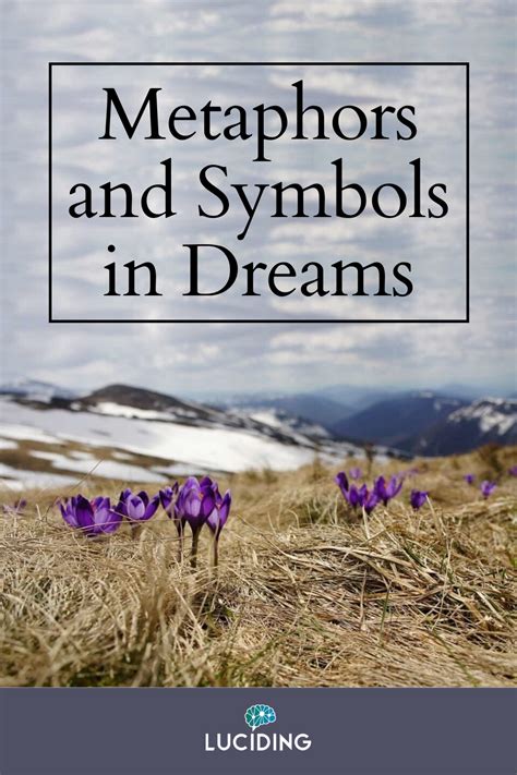 The Language of Dreams: Decoding the Significance of Symbols and Metaphors