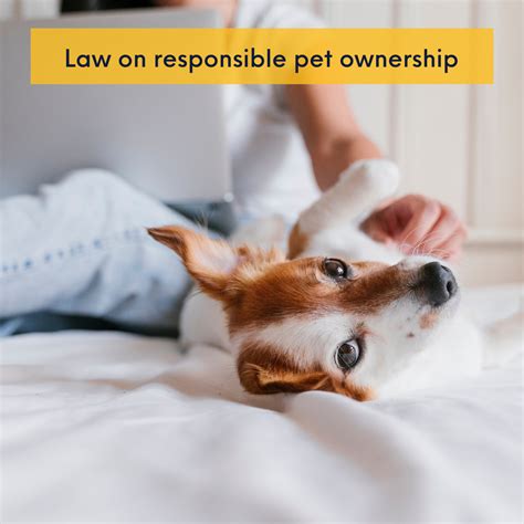 The Legal Consequences for Inattentive Pet Owners