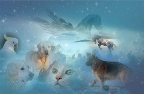 The Link Between Dreams and Departed Souls: Relevance for Animal Companions