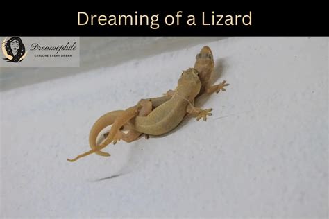 The Link Between Lizard Dreams and the Subconscious Mind