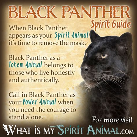 The Majestic Black Panther: A Symbol of Unyielding Strength and Limitless Power
