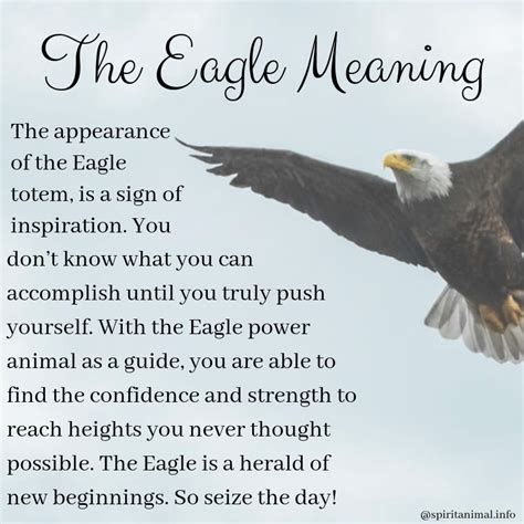 The Majestic Eagle Bird: Unveiling Its Symbolic Significance