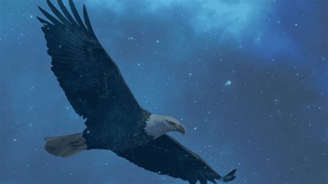 The Majestic Flight: Exploring the Significance of Eagles' Symbolism