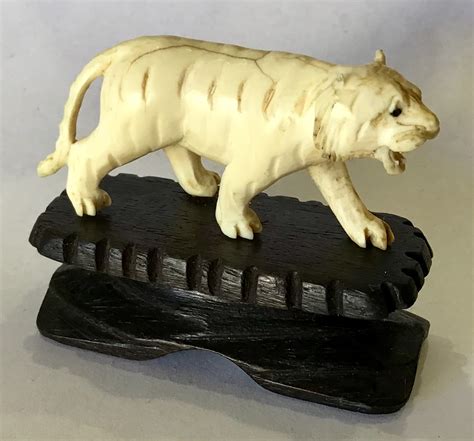 The Majesty and Gracefulness of Ivory Tigers