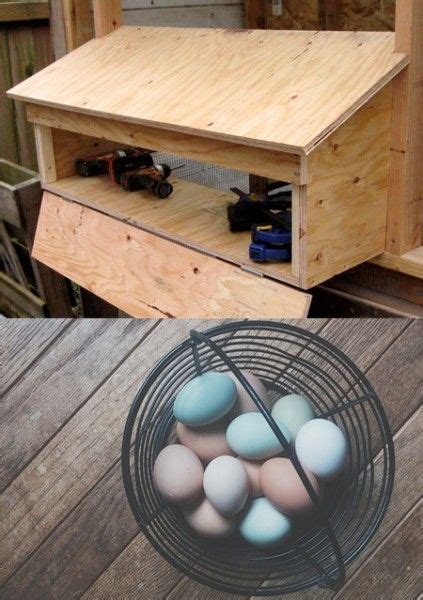 The Mastery of Gathering: Tricks and Techniques for Acquiring Eggs without Disturbing Your Flock