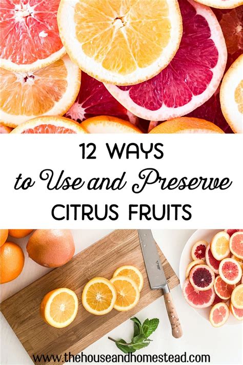 The Mastery of Selecting and Preserving Citrus Fruits: Insights for Ultimate Flavor