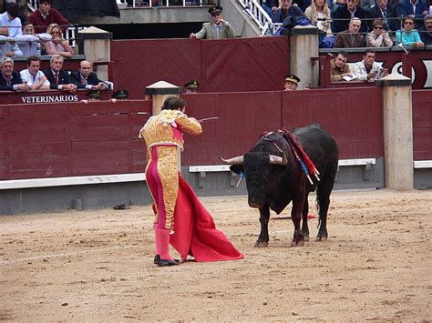 The Matador's Dance: Decoding the Symbolism in Bullfighting Movements