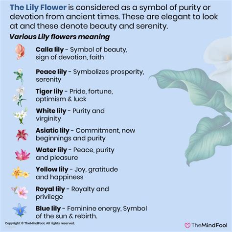 The Meaning Behind the Fiery Flower Symbolism in Dreams