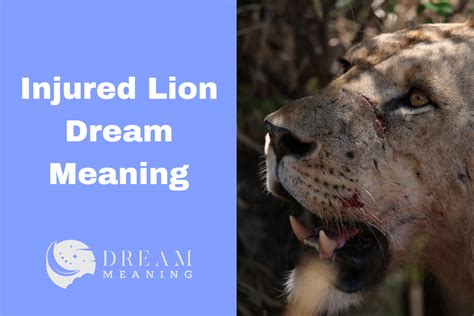 The Meaning of Dreaming about a Wounded Creature