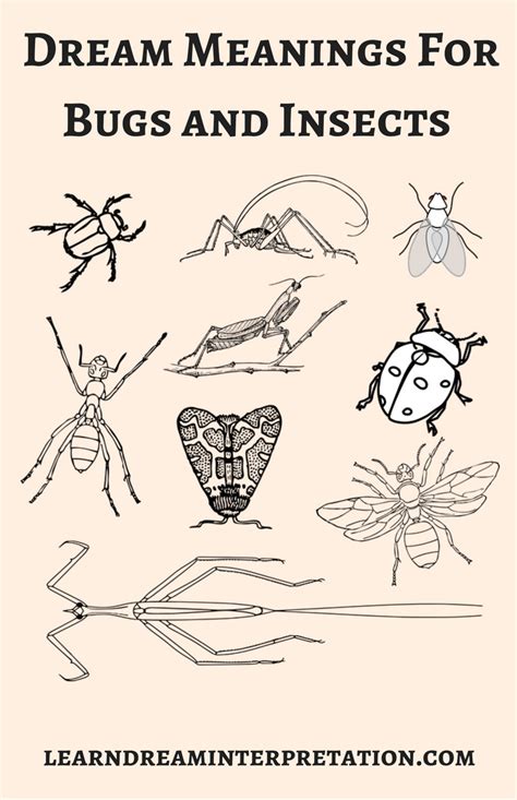 The Meaning of Insects in Dream Symbolism