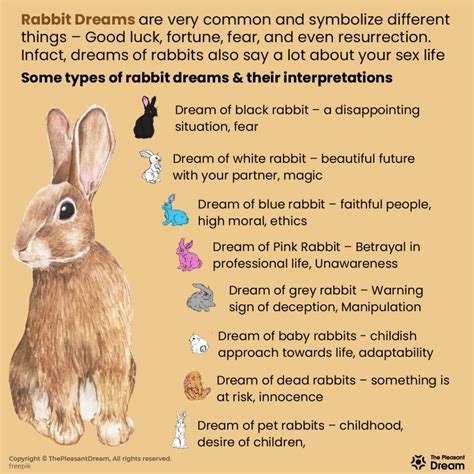 The Meaning of Newborn Bunnies in Dreams
