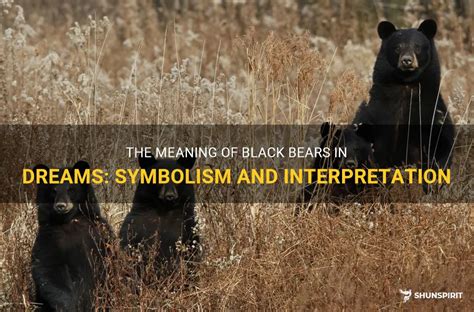 The Meaning of a Black Bear in Dreams