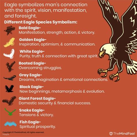 The Meaningful Interpretation: Deciphering the Symbolism of an Eagle Preying on a Snake