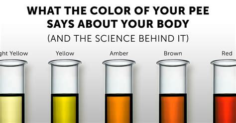 The Mysterious Connection Between Dreams and Urine Color