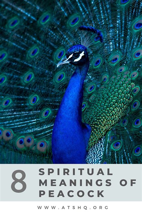 The Mysterious Enigma: Exploring the Secrets and Symbolism of the Radiant Peacock