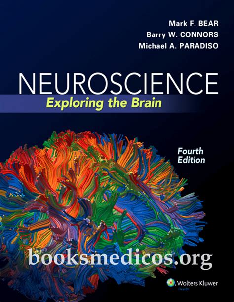 The Neuroscience of Dreaming: Exploring the Brain's Processing and Construction of Captivity