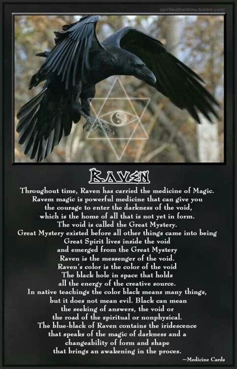 The Occult Connection: The Sinister Raven in Witchcraft and Magic