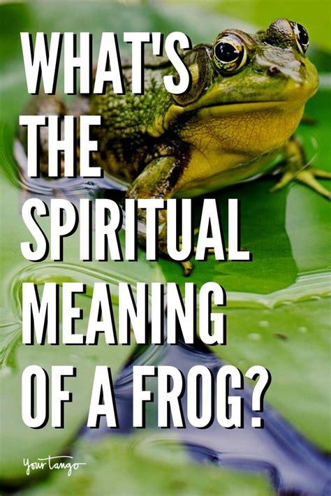 The Origins and Meanings of Frog Visionaries