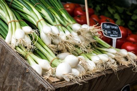 The Origins of Onion Symbolism in the Culinary World