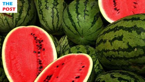 The Origins of Watermelon: A Juicy Journey from Africa to Your Plate