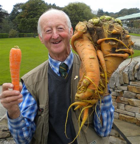 The Phenomenon of Gigantic Carrot Competitions