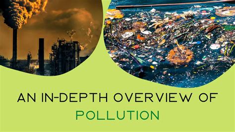 The Pollution Crisis: Understanding the Depth of the Issue