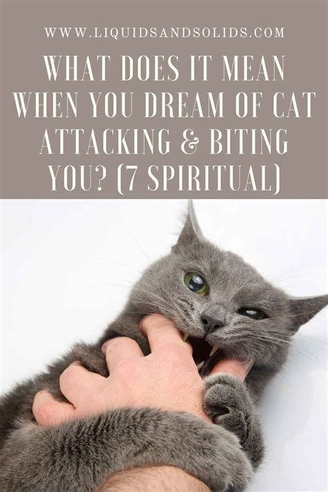 The Possible Connections Between Incidents of Feline Nipping in One's Dreams and Real-Life Encounters