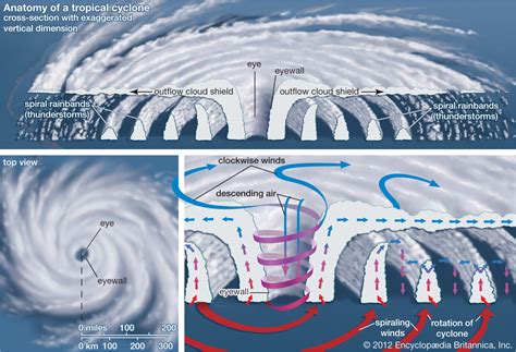 The Potency and Devastation Linked to Cyclones in Dreams