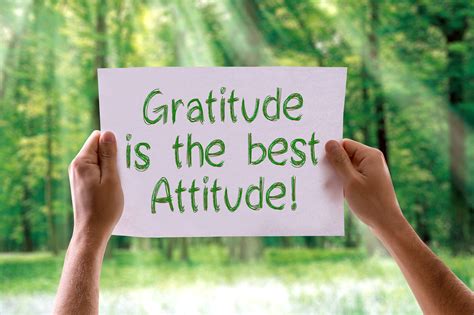 The Power of Gratitude and Mindfulness: Embracing Positive Thinking and Living in the Present Moment