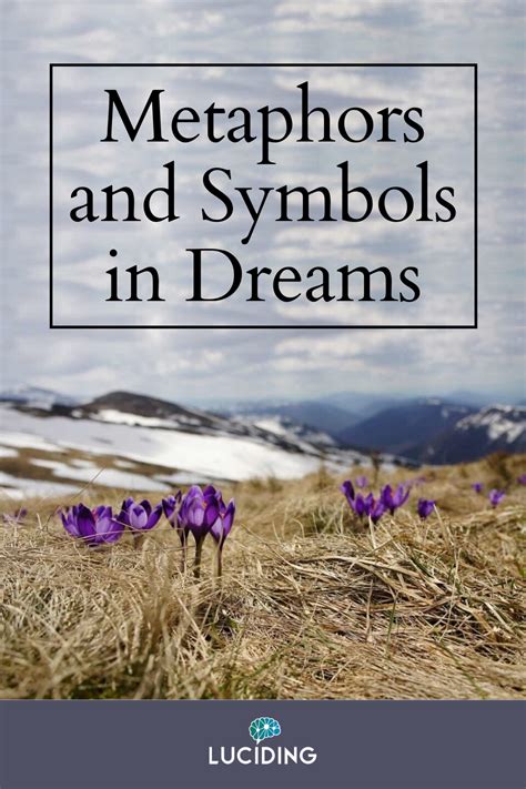 The Power of Symbolism and Metaphors in Interpreting the Language of Dreams