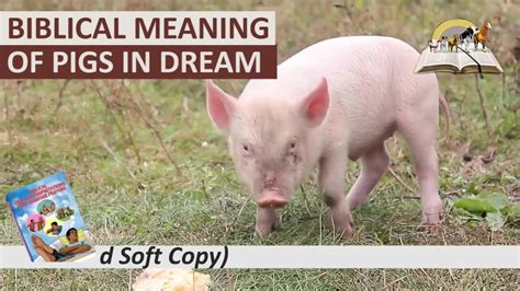 The Profound Symbolism of Infant Swine in Human Dreams