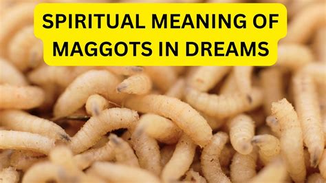 The Profound Symbolism of Maggots in Dreamscapes