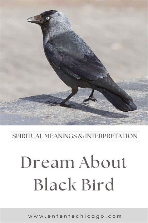 The Psychological Analysis of Dreams Featuring Violent Encounters with Ebony Avian Creatures