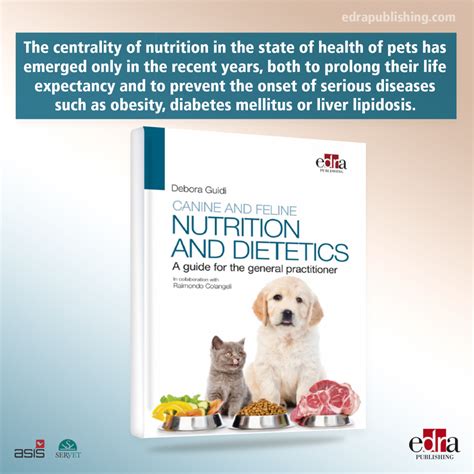 The Psychological Impact of Neglecting to Provide Nourishment for Your Canine Companion
