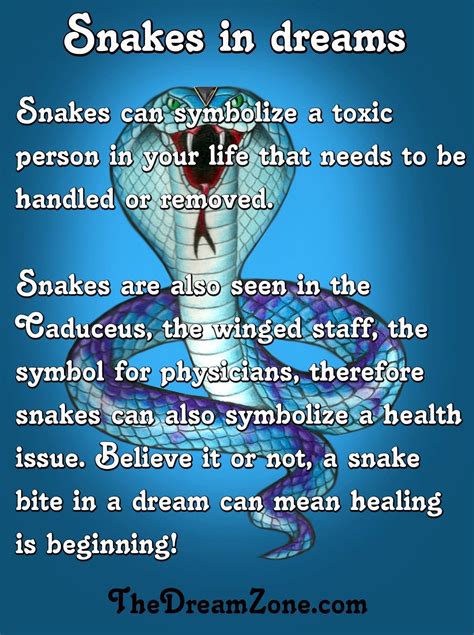 The Psychological Interpretation of Dreaming About Serpents