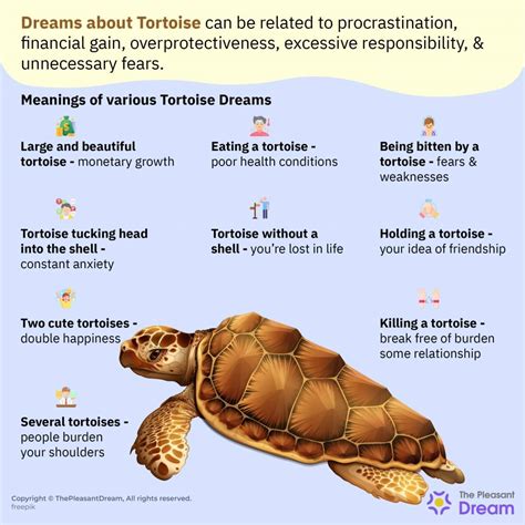 The Psychological Significance of Consuming a Tortoise in Dreams