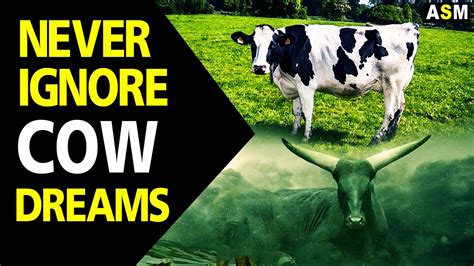 The Psychological Significance of Dreaming about Cow Excrement