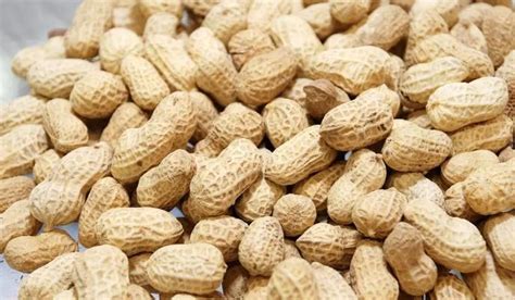 The Psychological Significance of Dreaming about Peanuts