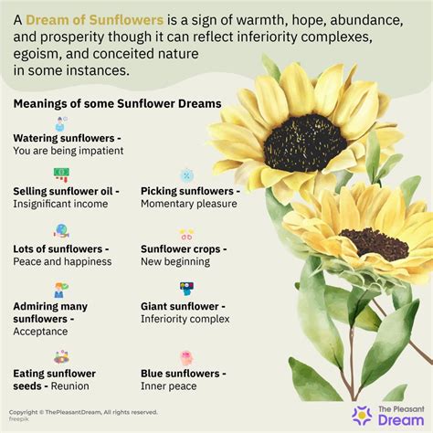 The Psychological Significance of Dreaming about Sunflowers
