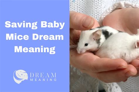 The Psychological Significance of Mouse Dreams: Insights into the Inner Self