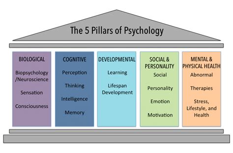 The Psychology Behind the Intrinsic Urge to Accumulate