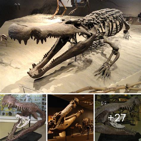 The Remarkable Variety of Prehistoric Behemoths